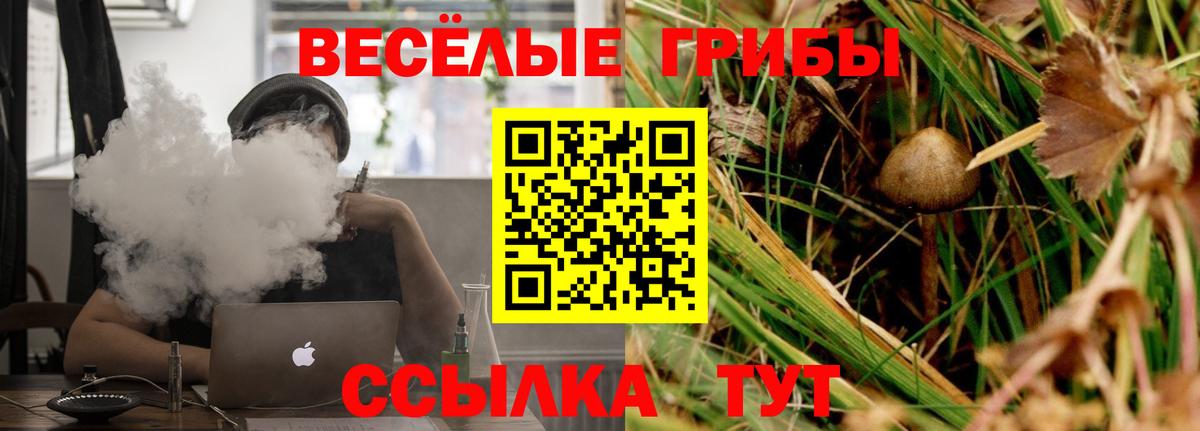 купить закладку  Вход с VPN  Красногорск  Псилоцибиновые грибы прущие грибы 